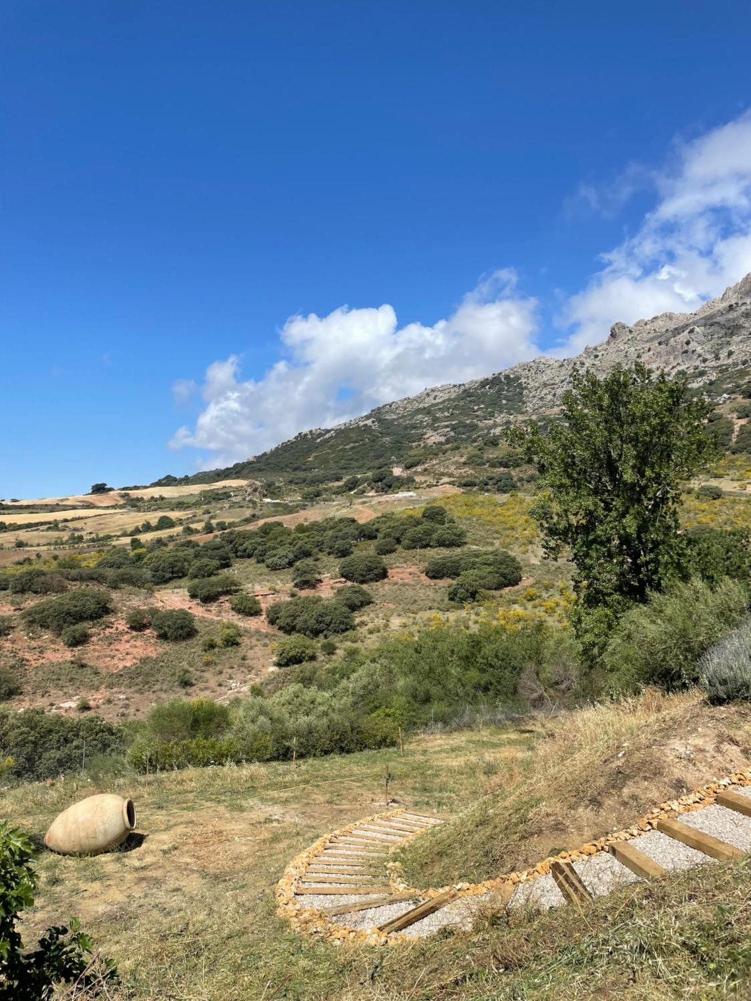 Appartement Cortijo Rancho *