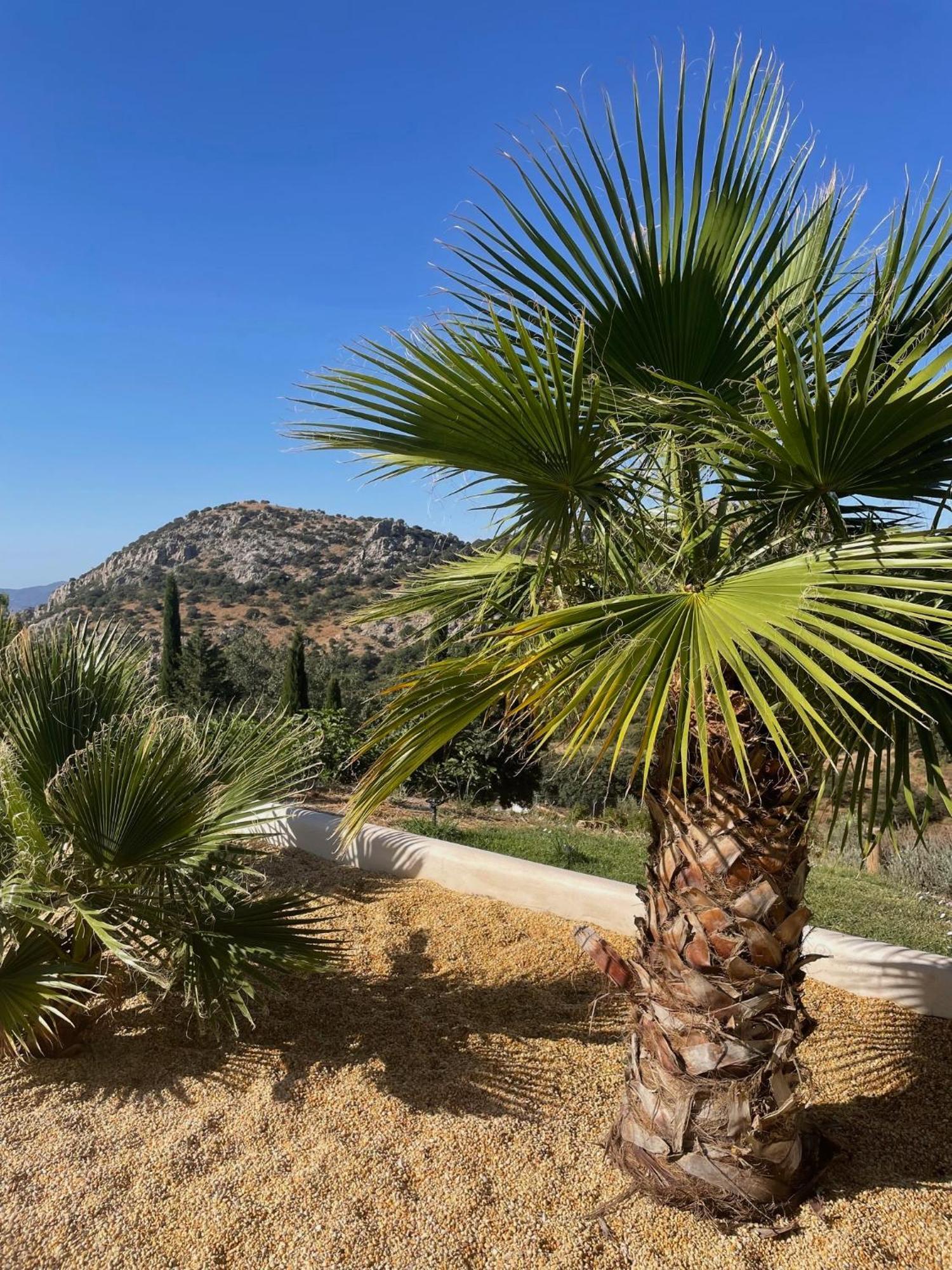 Cortijo Rancho Apartament